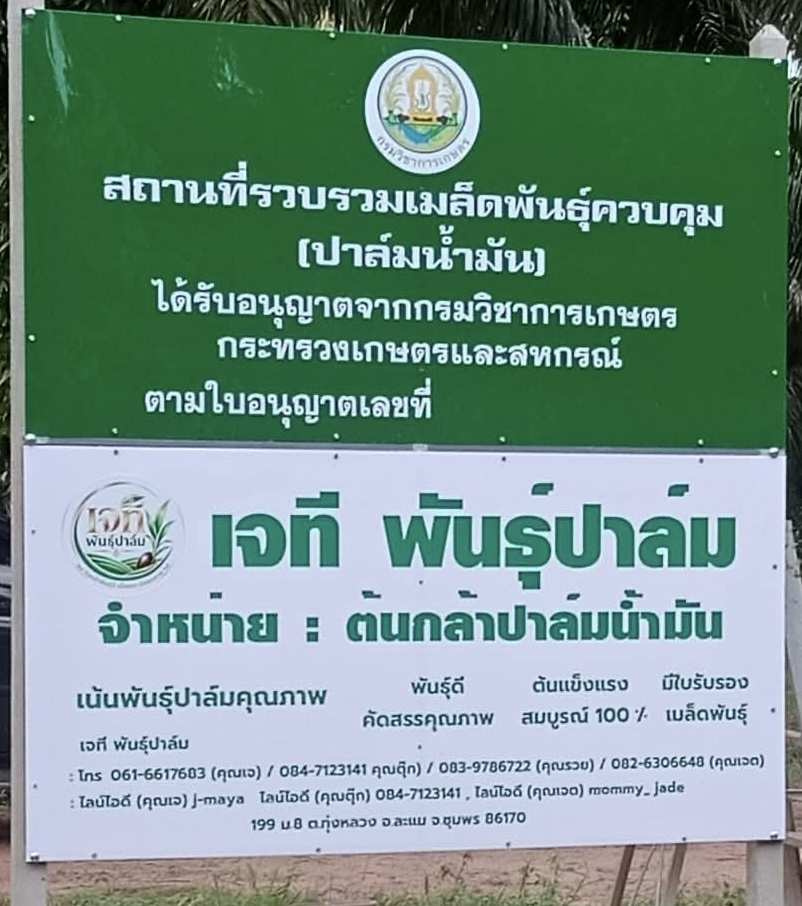 ป้าย เจที พันธุ์ปาล์ม